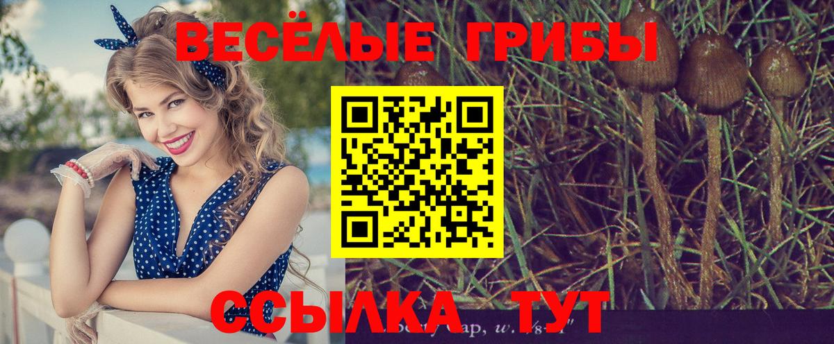 Псилоцибиновые грибы мицелий  Галлюциногенные грибы ЛСД  где купить наркоту  Вход с VPN  Нефтеюганск 