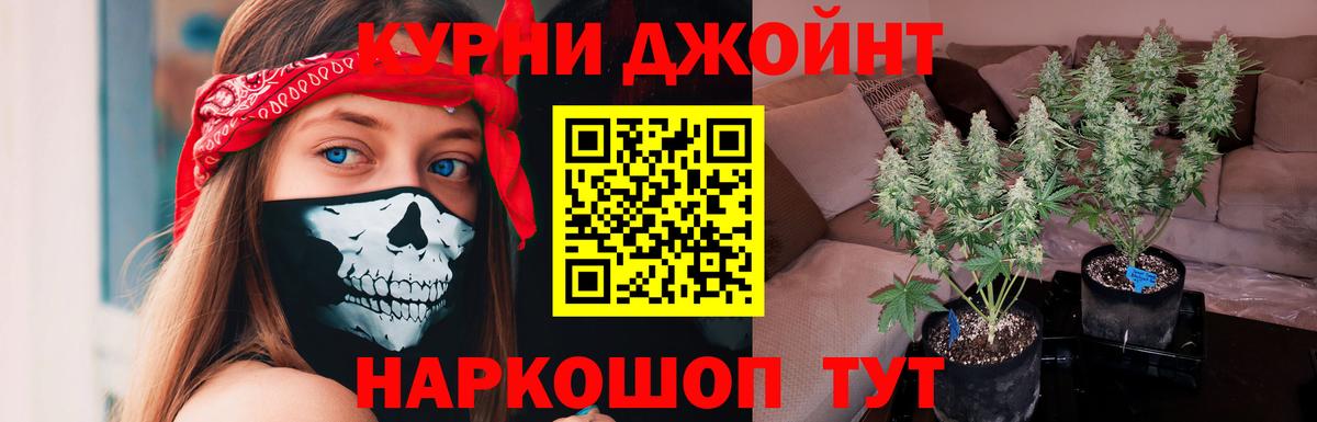 Бошки Шишки семена Нефтеюганск
